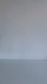 1cd87fc9-6c80-4d87-b26c-633c778edc8d-1225 (1).mp4